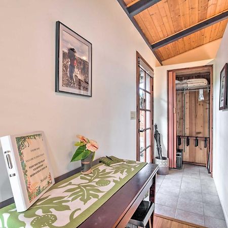 Cozy Volcano Studio With Phenomenal Rainforest Views Mountain View Esterno foto