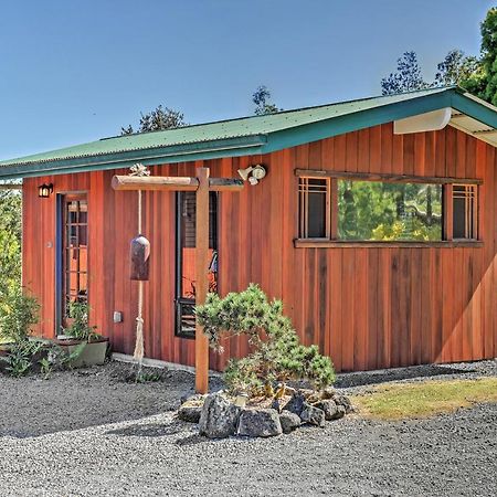 Cozy Volcano Studio With Phenomenal Rainforest Views Mountain View Esterno foto