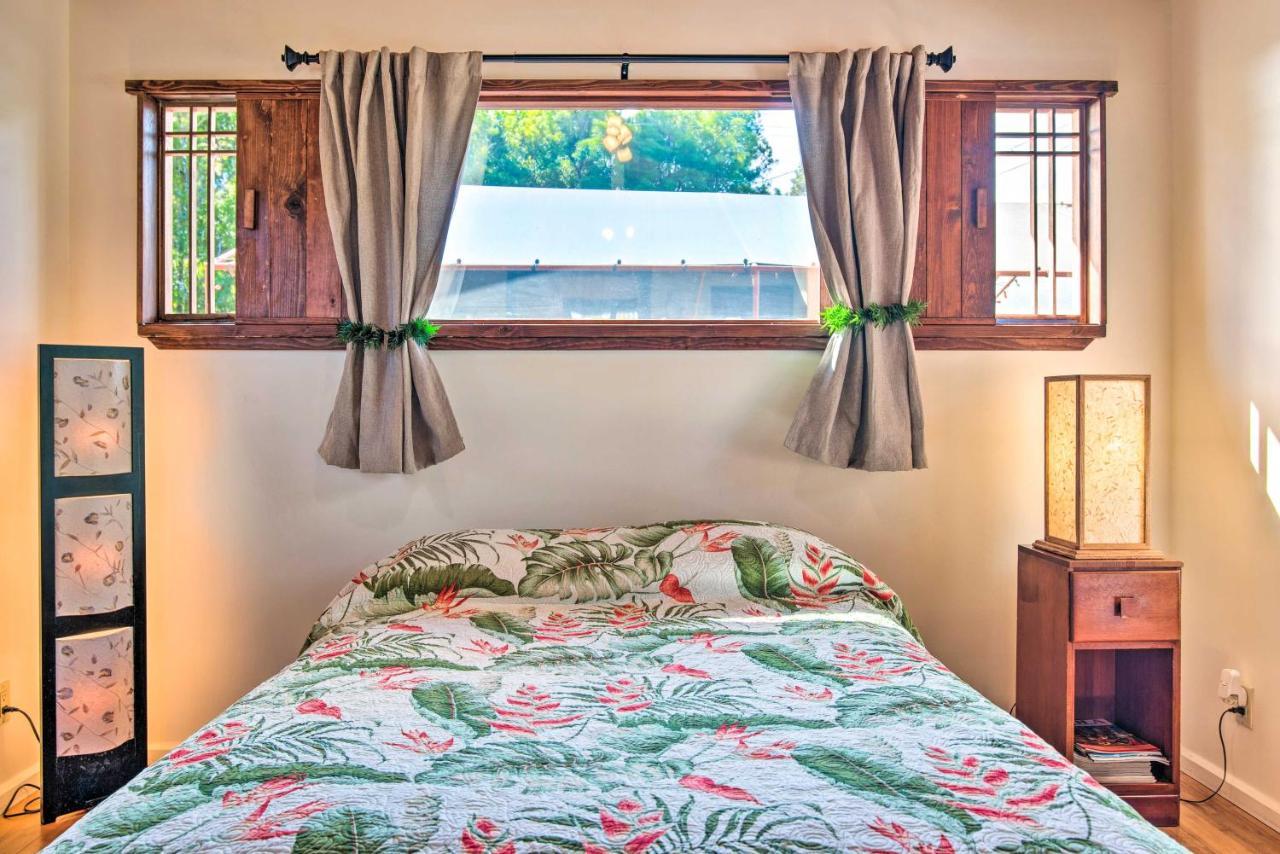 Cozy Volcano Studio With Phenomenal Rainforest Views Mountain View Esterno foto