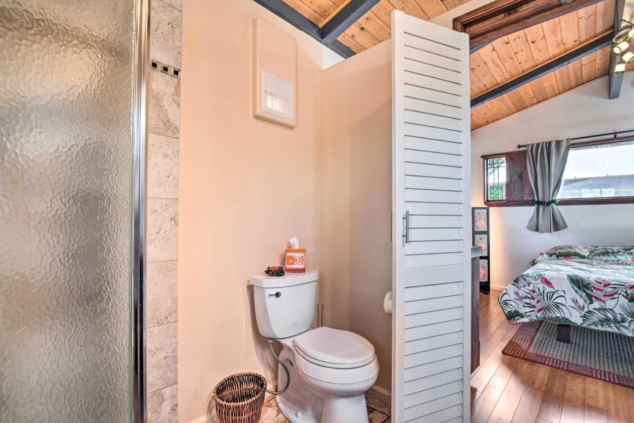 Cozy Volcano Studio With Phenomenal Rainforest Views Mountain View Esterno foto