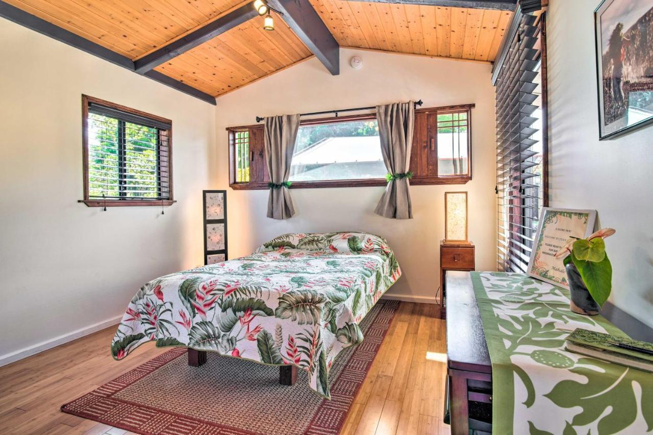 Cozy Volcano Studio With Phenomenal Rainforest Views Mountain View Esterno foto
