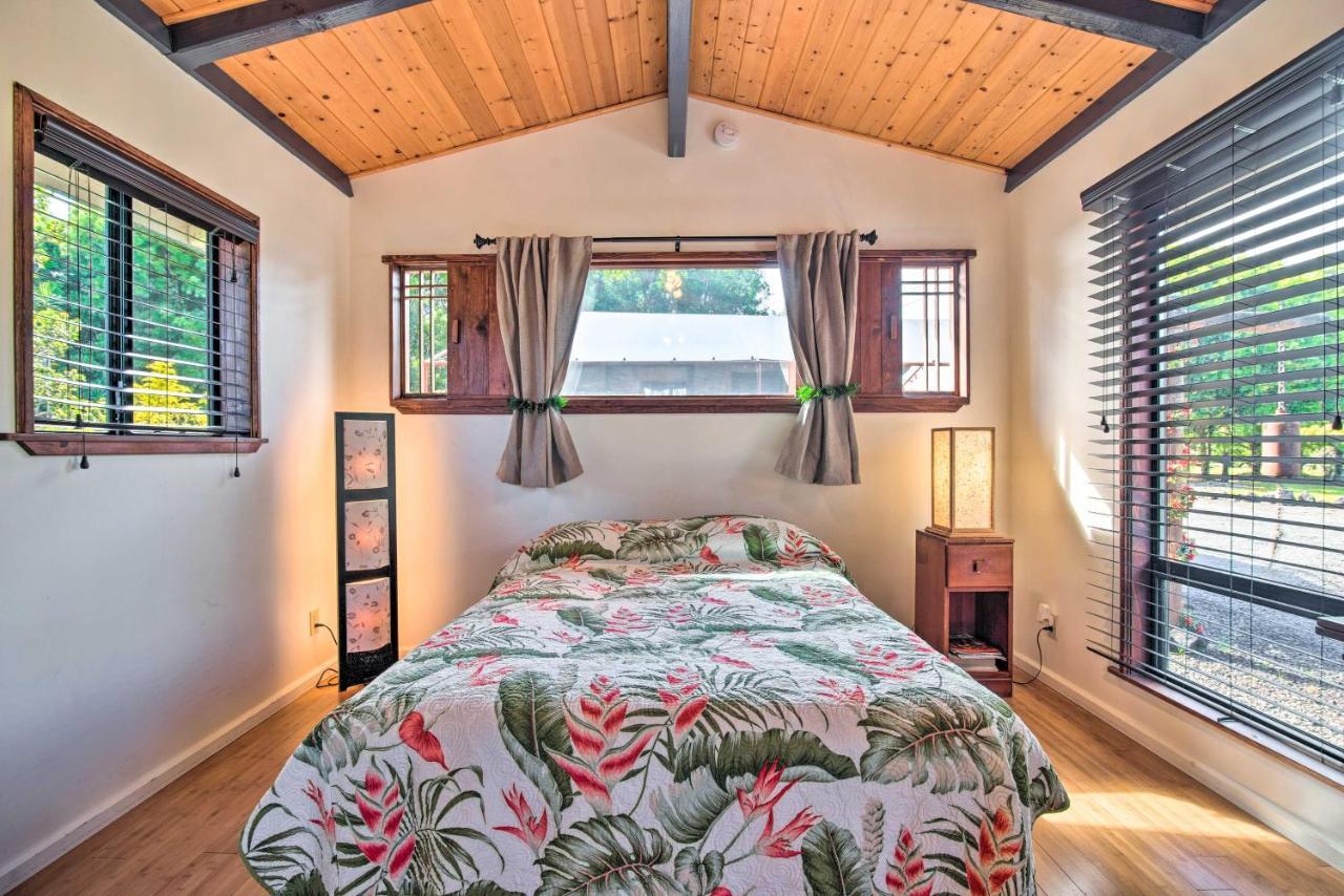 Cozy Volcano Studio With Phenomenal Rainforest Views Mountain View Esterno foto